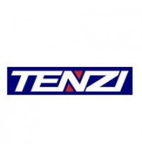 Tenzi